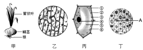 学科网(www.zxxk.com)--教育资源门户，提供试卷、教案、课件、论文、素材以及各类教学资源下载，还有大量而丰富的教学相关资讯！