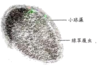 学科网(www.zxxk.com)--教育资源门户，提供试卷、教案、课件、论文、素材以及各类教学资源下载，还有大量而丰富的教学相关资讯！