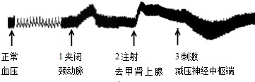 图示

描述已自动生成