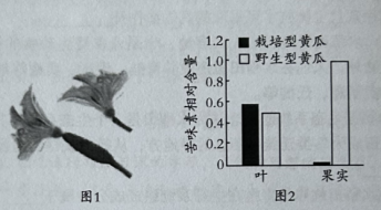 学科网(www.zxxk.com)--教育资源门户，提供试卷、教案、课件、论文、素材以及各类教学资源下载，还有大量而丰富的教学相关资讯！