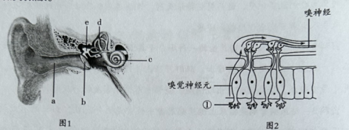 学科网(www.zxxk.com)--教育资源门户，提供试卷、教案、课件、论文、素材以及各类教学资源下载，还有大量而丰富的教学相关资讯！