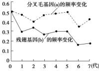 E:\未完成\【单元测试】2022-2023学年高一生物分层训练AB卷（人教版2019必修2）\第6章 生物的进化（B卷·能力提升练）\YLXGKSW23-607.TIF