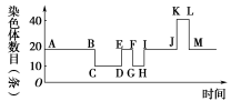 TBLB20-2-63.TIF