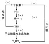 高中试卷网 http://sj.fjjy.org