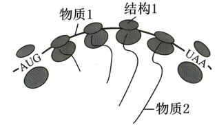 学科网(www.zxxk.com)--教育资源门户，提供试卷、教案、课件、论文、素材以及各类教学资源下载，还有大量而丰富的教学相关资讯！