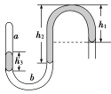 Z443.TIF