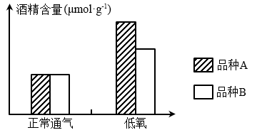 学科网(www.zxxk.com)--教育资源门户，提供试卷、教案、课件、论文、素材以及各类教学资源下载，还有大量而丰富的教学相关资讯！