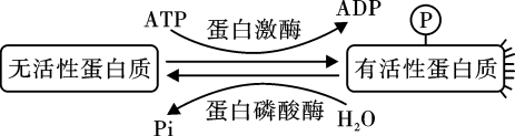 学科网(www.zxxk.com)--教育资源门户，提供试卷、教案、课件、论文、素材以及各类教学资源下载，还有大量而丰富的教学相关资讯！